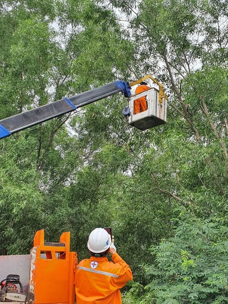 Ngành Điện TPHCM chủ động ứng phó, đảm bảo cung ứng điện, an toàn trong mùa mưa bão 1