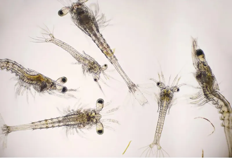 7 khám phá khoa học năm 2023 có thể dẫn đến những phát minh mới 3