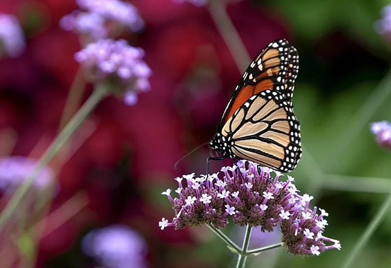 7 khám phá khoa học năm 2023 có thể dẫn đến những phát minh mới 4