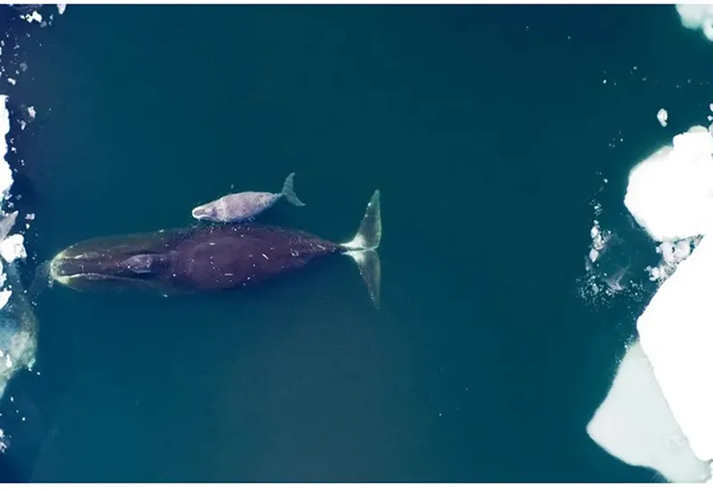 7 khám phá khoa học năm 2023 có thể dẫn đến những phát minh mới 7