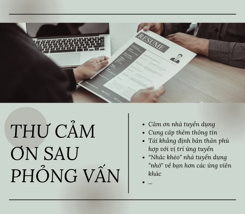 11 mẫu thư cảm ơn sau phỏng vấn gây ấn tượng với nhà tuyển dụng 1