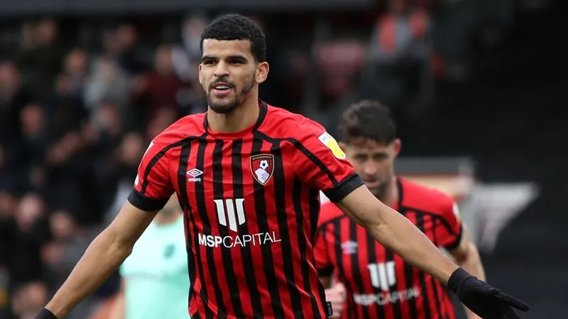 Dominic Solanke đã ghi 12 bàn thắng tại Ngoại hạng Anh năm nay - Ảnh: Internet