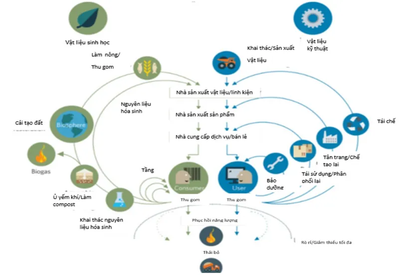Kinh tế tuần hoàn trong nông nghiệp: Hướng đến chuỗi giá trị tăng trưởng xanh, bền vững 1