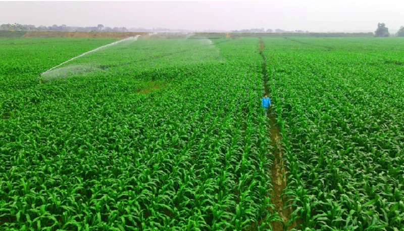 Vinamilk phát triển kinh tế tuần hoàn, quản lý tốt phát thải khí nhà kính 2