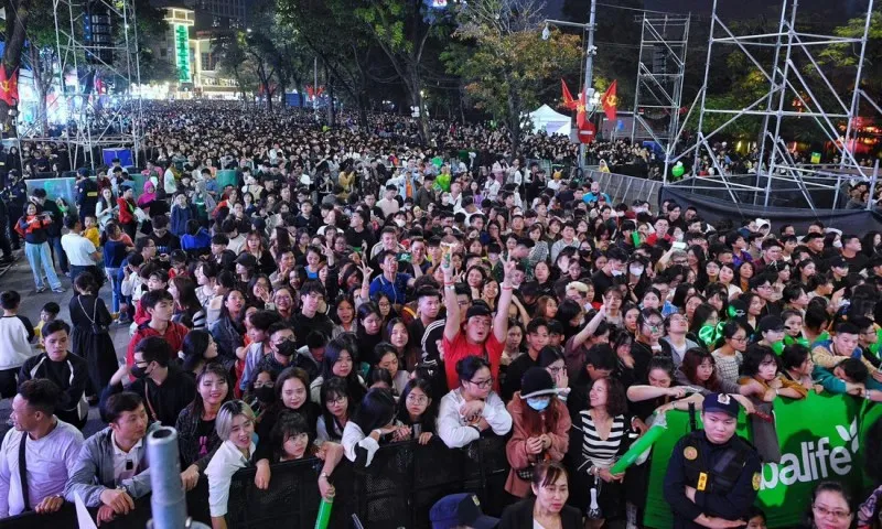 Pháo hoa rực rỡ mừng năm mới 2024 8