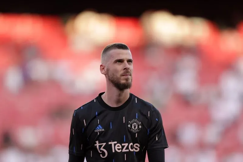 De Gea cân nhắc giải nghệ - Ảnh: Internet