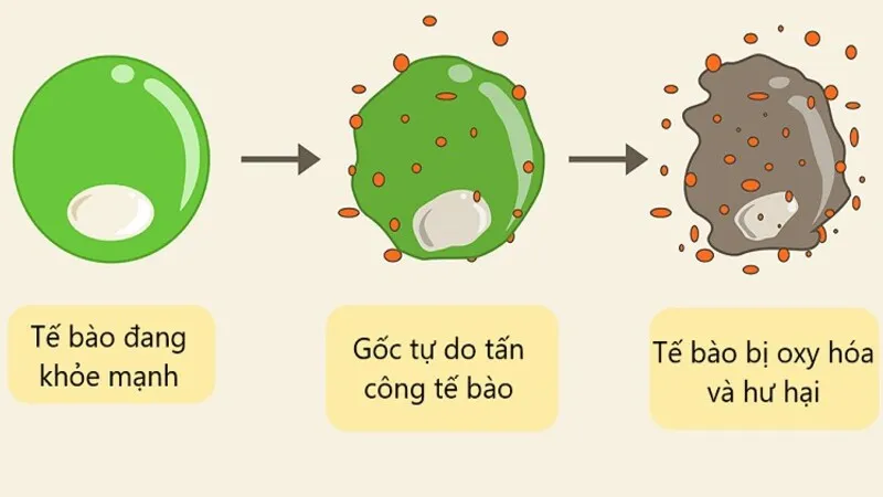 Nồng độ bụi mịn tăng cao, người dân nên sử dụng khẩu trang thường xuyên 2