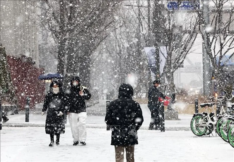 Hàn Quốc: Khu vực đại Seoul cảnh báo tuyết phủ lên đến 10cm 1