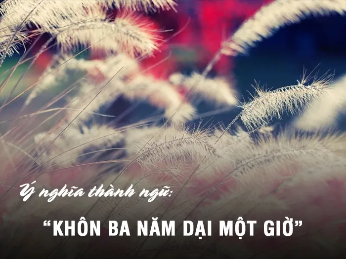 Ý nghĩa thành ngữ “Khôn ba năm dại một giờ” là gì? 1