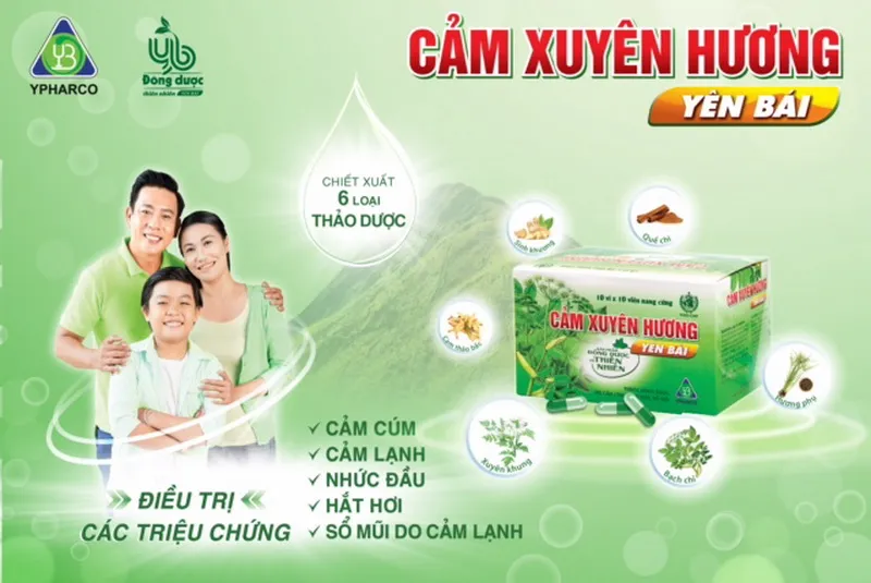 Cảm Xuyên Hương – Phương pháp trị cảm từ 6 thảo dược thiên nhiên 1