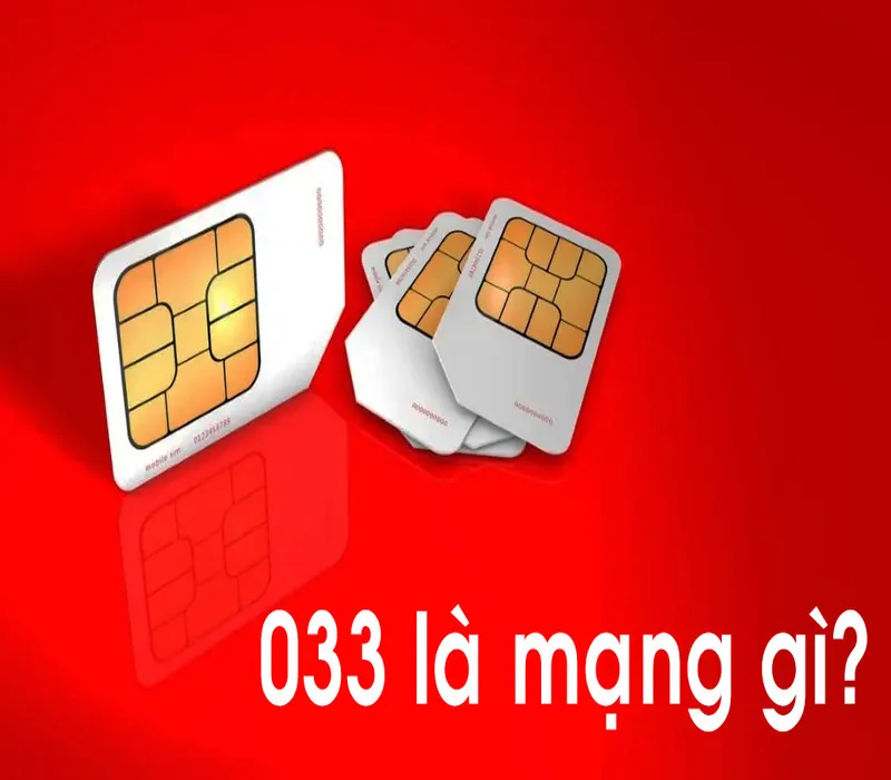 033 là mạng gì? Ý nghĩa phong thủy của đầu số 033 trong năm 2024 3