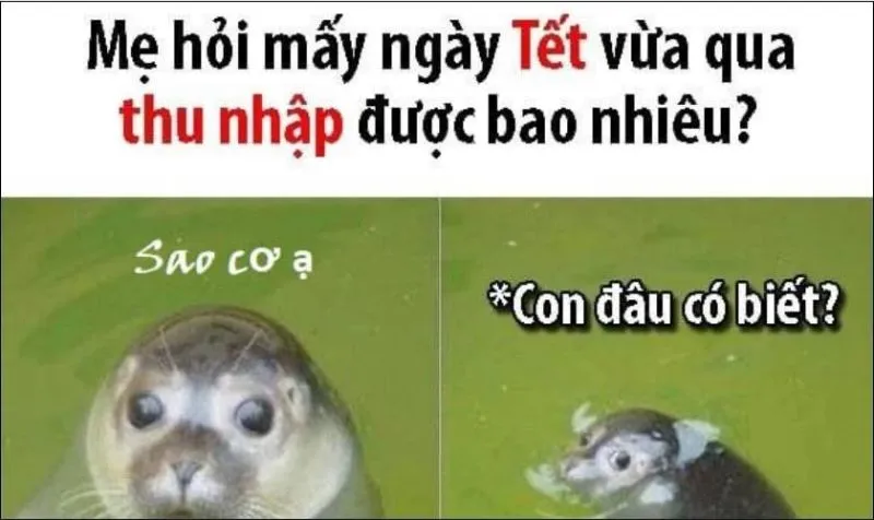 Tổng hợp meme Tết hài hước giúp năm mới thêm thú vị 24