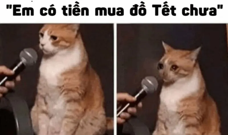 Tổng hợp meme Tết hài hước giúp năm mới thêm thú vị 27