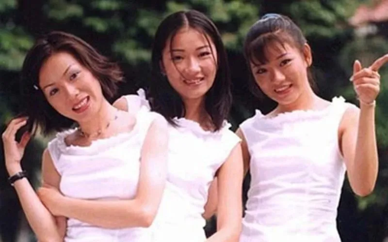 Cuộc sống Tam ca Áo Trắng ra sao ở tuổi ngũ tuần? 5