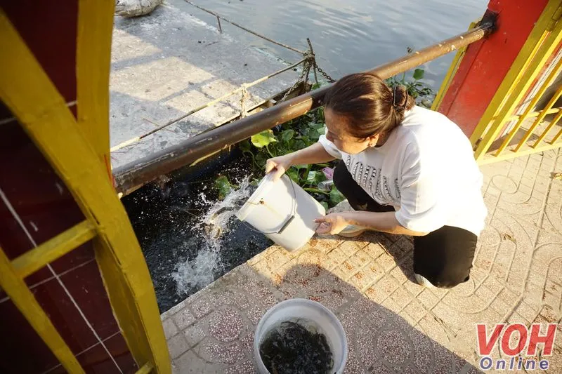 [Bài Mùng 2 tết] Phù Châu Miếu - Ngôi miếu nổi có tuổi đời gần 300 năm với hơn 100 bức tượng rồng 20