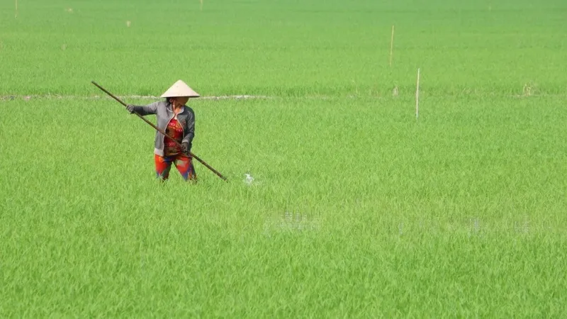 Điểm tin chiều 26/1: Bộ Công Thương kiến nghị tăng giá điện | Hàng trăm người "sập bẫy" đi xuất khẩu lao động 2