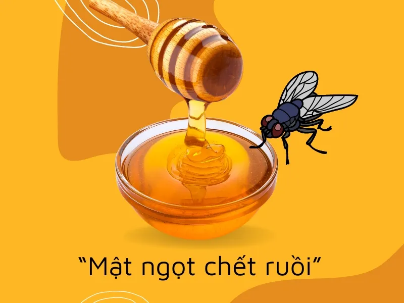 Giải thích thành ngữ “Mật ngọt chết ruồi” nghĩa là gì? 1
