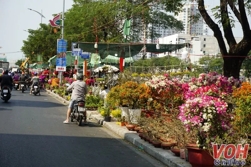 Chợ hoa Tết tại bến Bình Đông rộn ràng sắc xuân 3