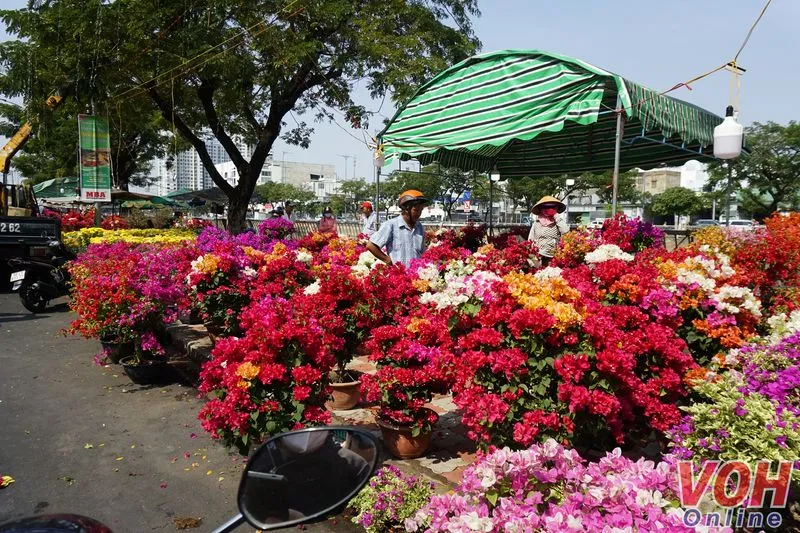 Chợ hoa Tết tại bến Bình Đông rộn ràng sắc xuân 4