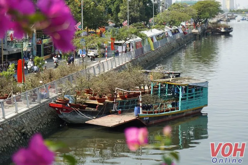 Chợ hoa Tết tại bến Bình Đông rộn ràng sắc xuân 1