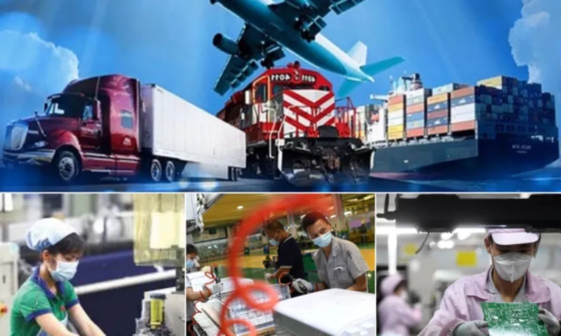 Nhìn lại năm 2023: Can trường trước những biến động 1