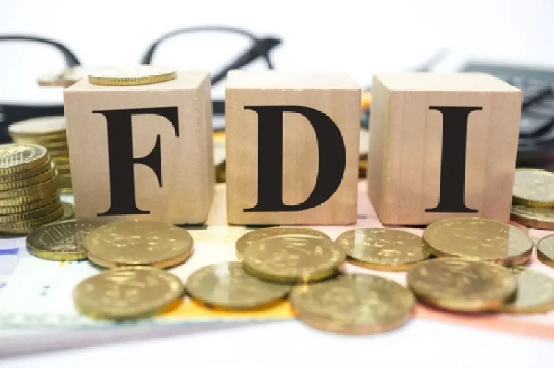 Dòng vốn đầu tư FDI tại Việt Nam tăng mạnh trong tháng đầu năm 2024 1