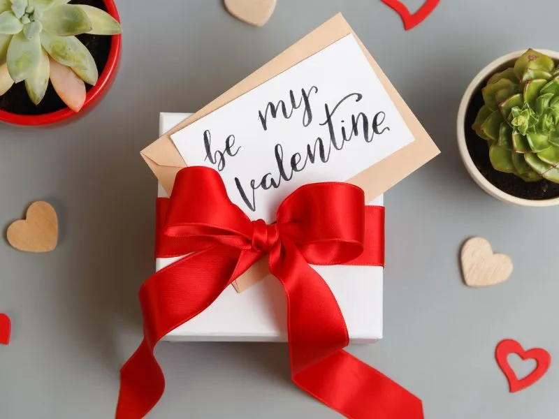 Be my Valentine là gì mà ai cũng “ra hiệu” với crush 1