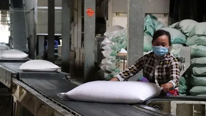 Xuất cấp hơn 7.000 tấn gạo dịp Tết Giáp Thìn và giáp hạt 1