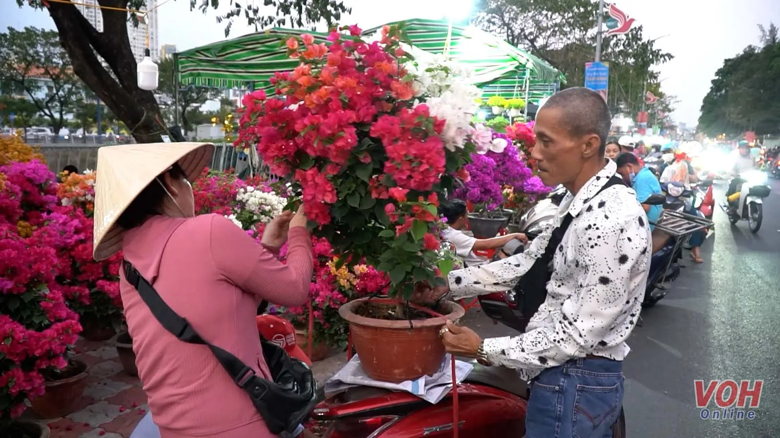 Chợ hoa xuân “Trên bến dưới thuyền” nhộn nhịp trước ngày khai mạc 4