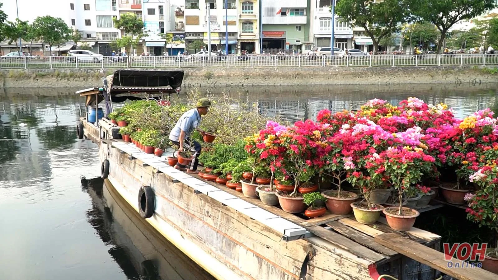 Chợ hoa xuân “Trên bến dưới thuyền” nhộn nhịp trước ngày khai mạc 1