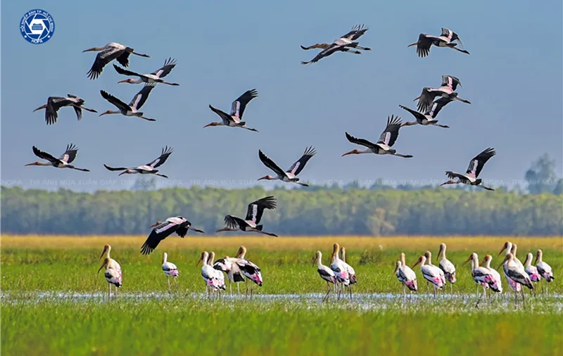 Trao giải Liên hoan Ảnh nghệ thuật mùa Xuân Giáp Thìn 2024 5