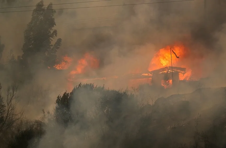 Chile: Cháy rừng kinh hoàng, hàng chục người chết 1