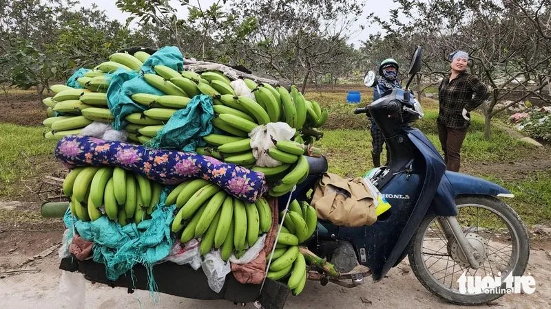 Điểm tin sáng 4/2: Thu phí tự động không dừng tại Nội Bài và Tân Sơn Nhất | TPHCM tiêm bù vắc xin cho trẻ 4