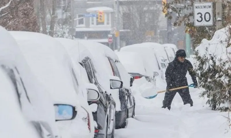 Canada: Nhiều trường học và công sở phải đóng cửa vì bão tuyết 1