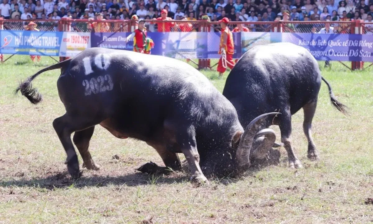 Giám sát chặt chẽ các lễ hội đông người dịp Tết