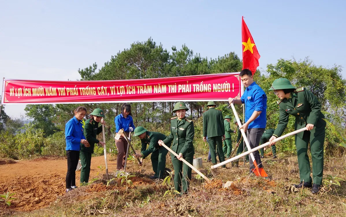 tet trong cay