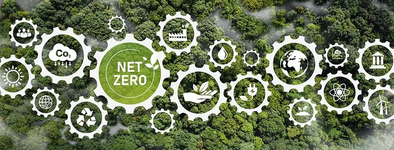 Net Zero - Hành trình chuyển đổi và cơ hội phát triển bền vững của doanh nghiệp 1