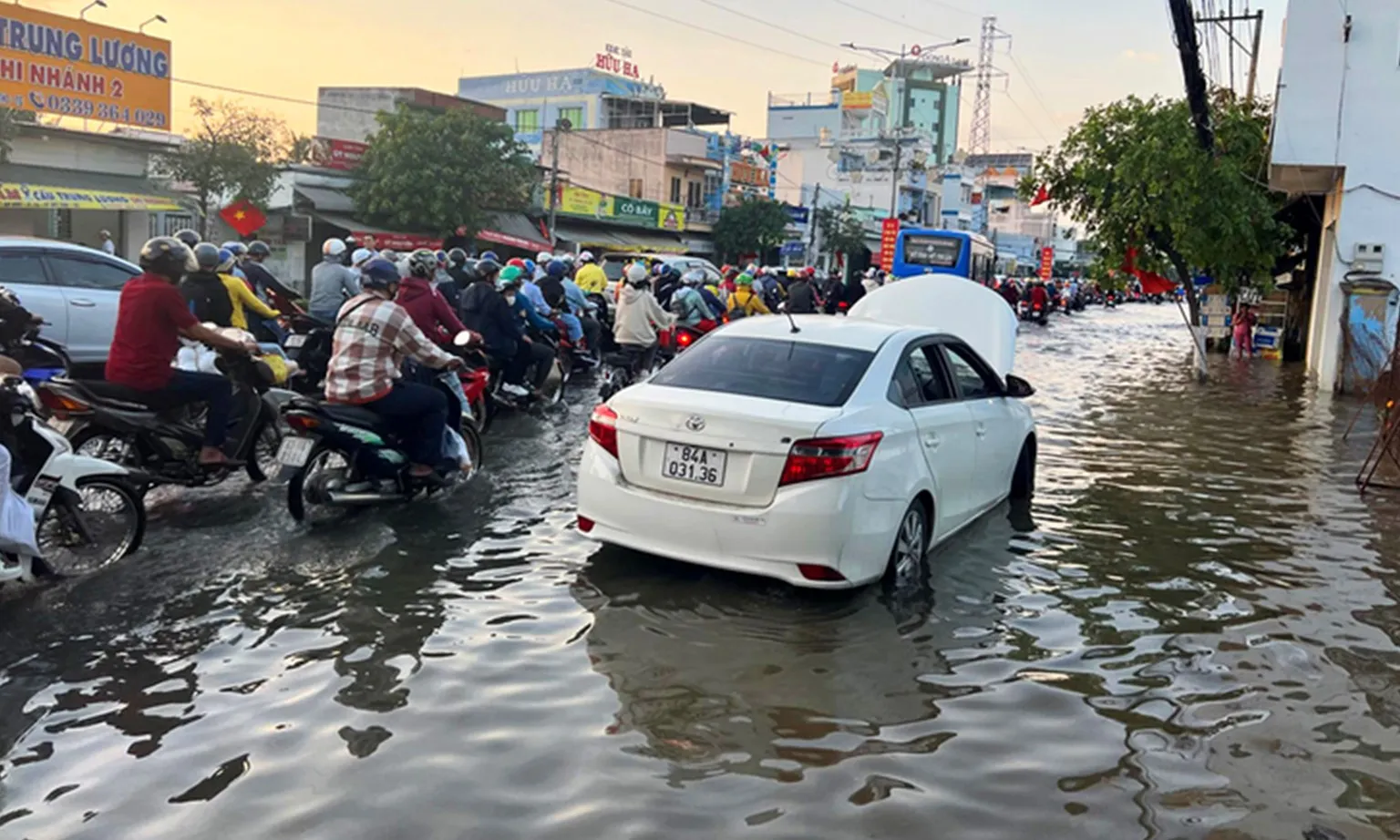 triều cường