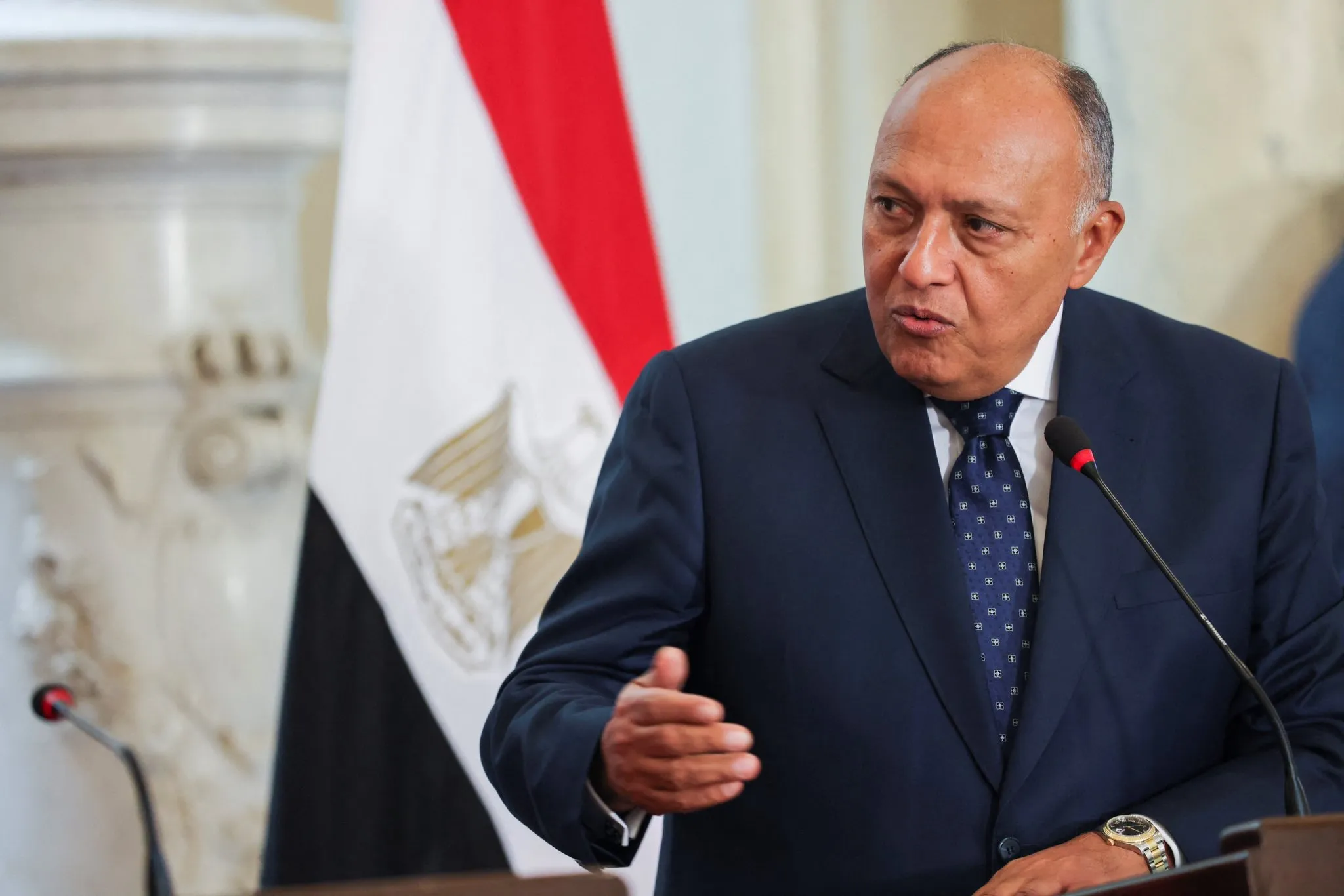 Ngoại trưởng Ai Cập Sameh Shoukry - Ảnh: Twitter