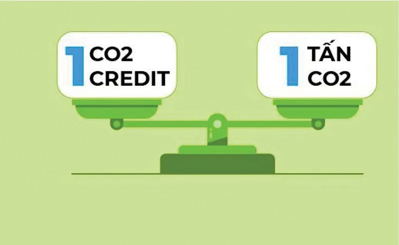 Sàn giao dịch tín chỉ carbon: Cấp thiết để đẩy nhanh mục tiêu Net Zero 1