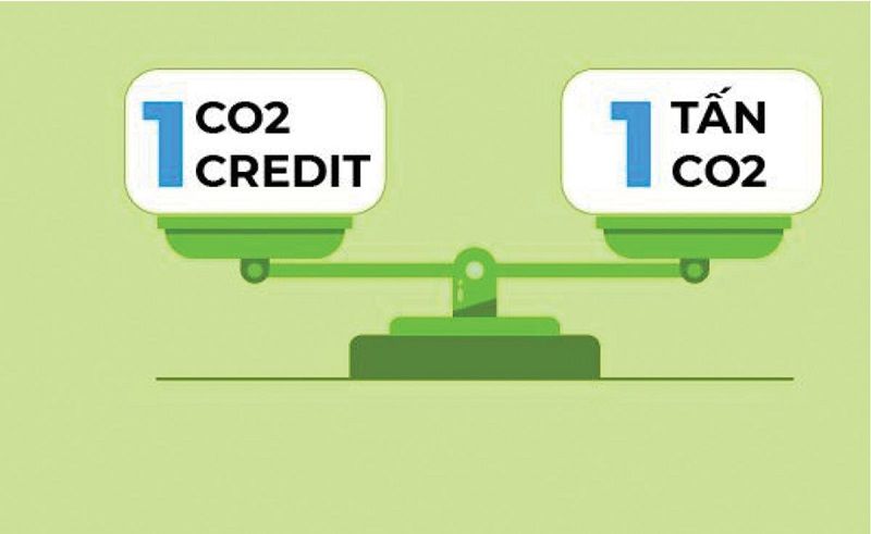 Sàn giao dịch tín chỉ carbon: Cấp thiết để đẩy nhanh mục tiêu Net Zero 1