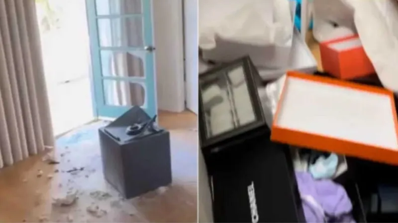 Lưu Nguyệt Phi bị trộm cuỗm sạch tài sản quý giá trong căn nhà sang trọng ở Mỹ 2