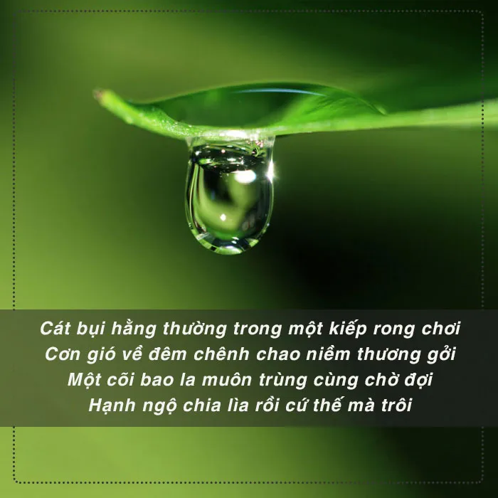 Top bài thơ về vô thường chứa đựng ý nghĩa nhân sinh sâu sắc 1