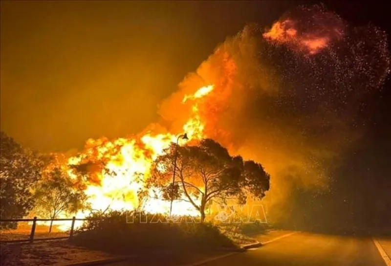 Australia nỗ lực ngăn cháy rừng, sơ tán hàng ngàn dân 1