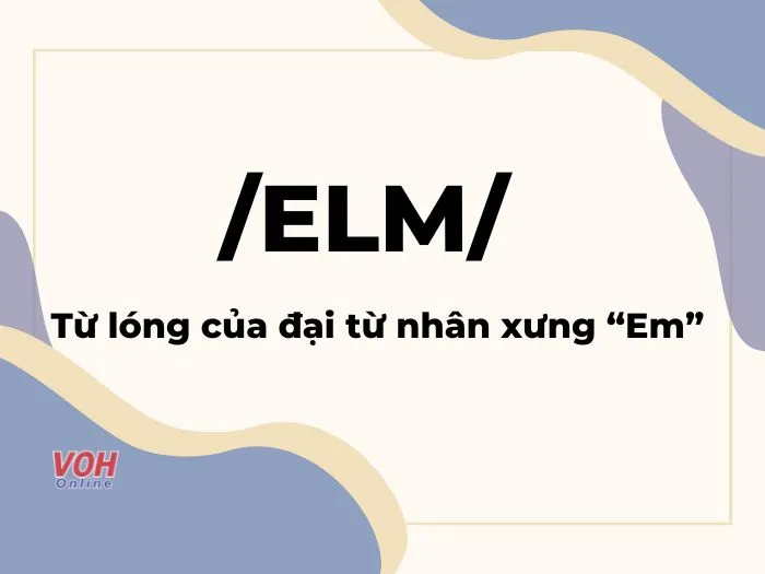 Elm là gì? Cùng giải mã hot trend nghe lạ mà quen 1