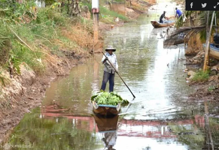 Kênh cạn nước, người trồng lúa lao đao