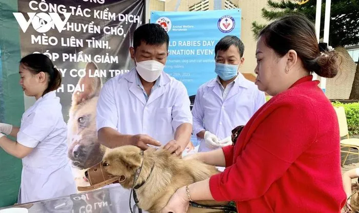 Nhịp Sống Khỏe 26/2: Bị thủng dạ dày vì thói quen ăn đồ chua cay | Tử vong sau 2 tháng bị chó cắn 1