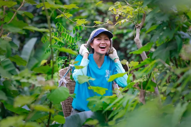 H’Hen Niê trích cát-xê đi hát mua 1 Hecta đất để trồng rừng 2