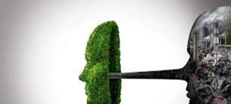 Chính sách mới của EU: Hạn chế các công ty sử dụng bù carbon trong động thái chống “Tẩy xanh” 2
