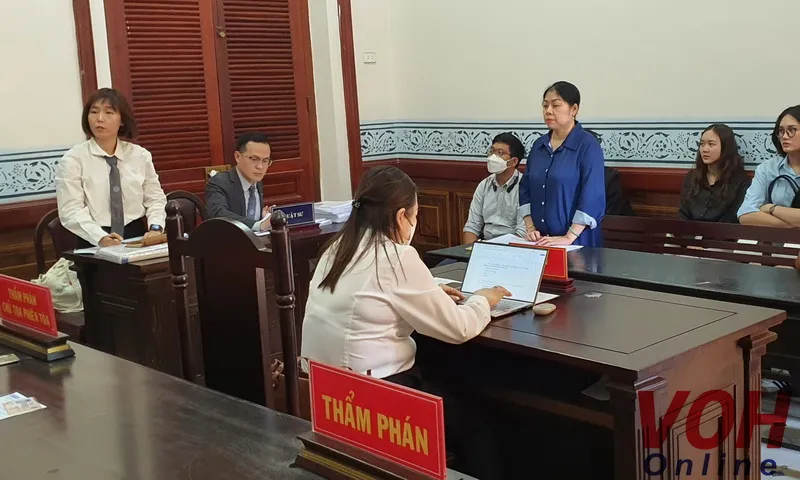 Liên quan vụ việc Công ty xử lí chất thải rắn VWS: Buộc bà Thu chấm dứt hành vi xúc phạm danh dự, uy tín của ông David Dương và Công ty VWS 1